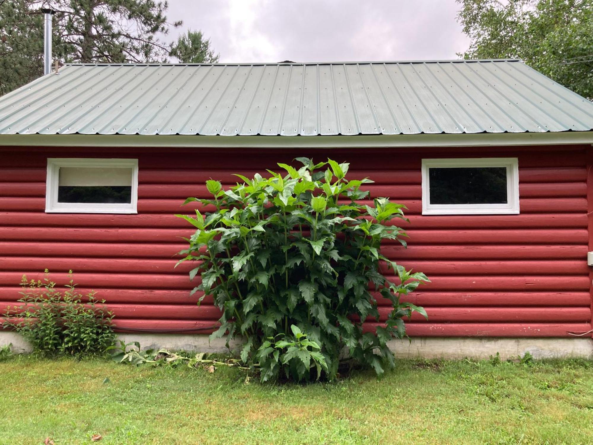 The Lorca Adirondacks Motel Indian Lake Kamer foto